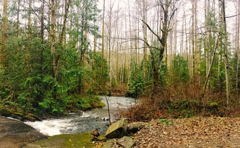 Life in the&nbsp;Village