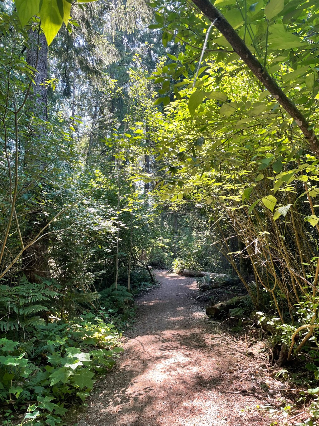 The four right chords can make me&nbsp;cry