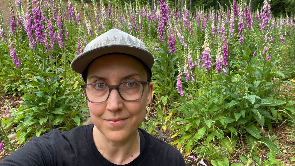 A big field of purple spikes, each bigger than my head